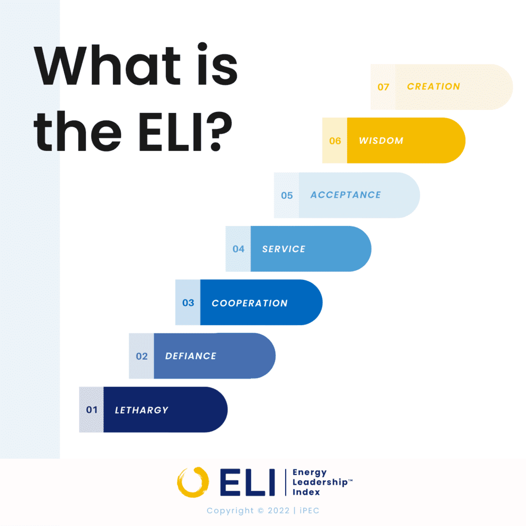 ELI Assessment